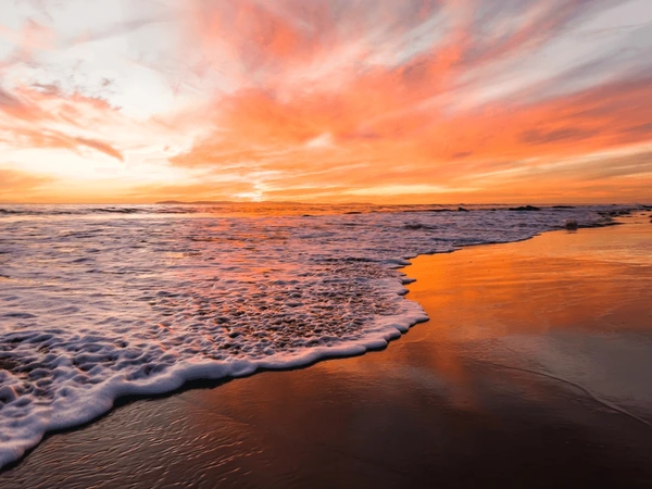 Experience the journey banner